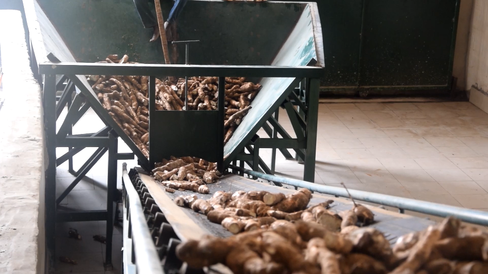 整條木薯淀粉線(xiàn)剪輯.png 整條木薯淀粉線(xiàn)剪輯.png